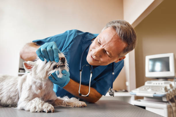 Best Emergency Tooth Extraction in Blennerhassett, WV